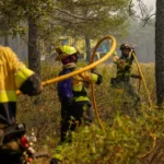bomberos-luchan