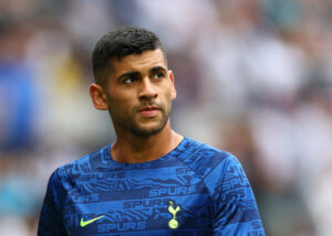 Premier League - Tottenham Hotspur v Fulham